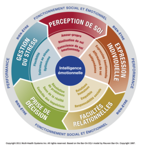 Test d'intelligence émotionnelle eqi