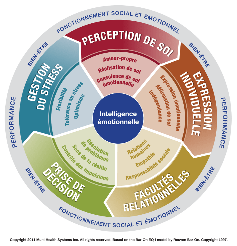 Test d'intelligence émotionnelle eqi